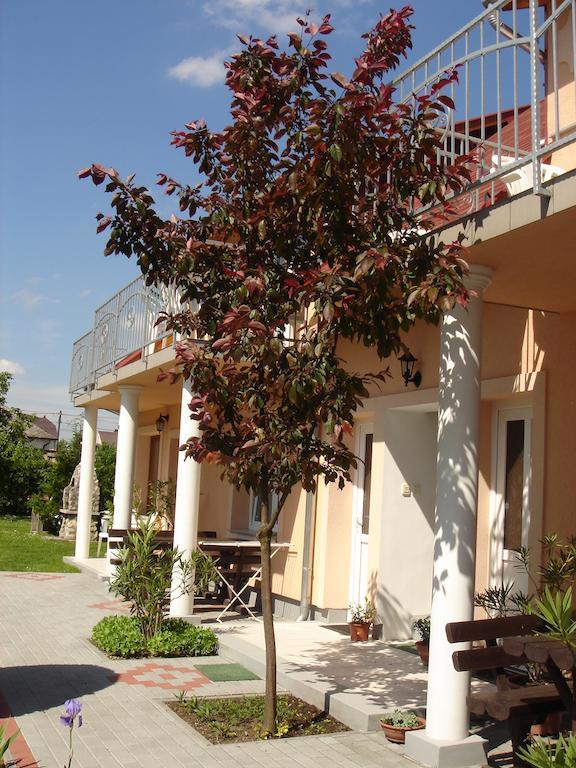 Villa Monika 凯斯特海伊 外观 照片
