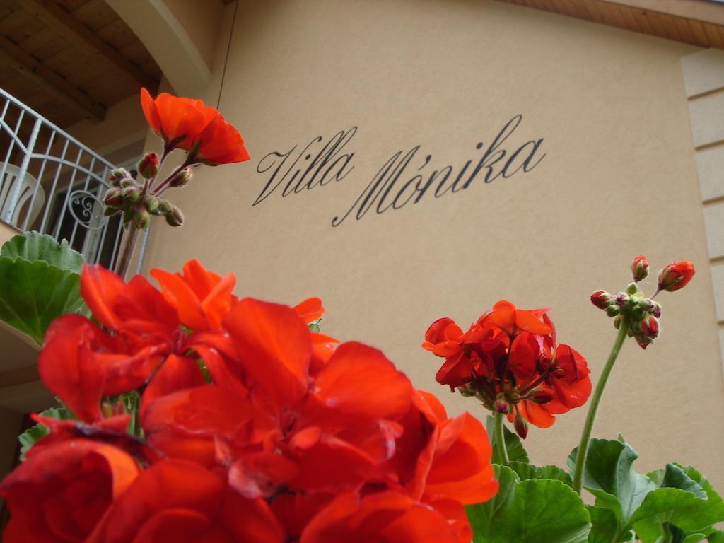 Villa Monika 凯斯特海伊 外观 照片